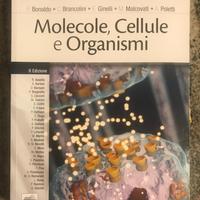 Libro universitario biologia generale e molecolare