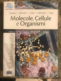 Libro universitario biologia generale e molecolare