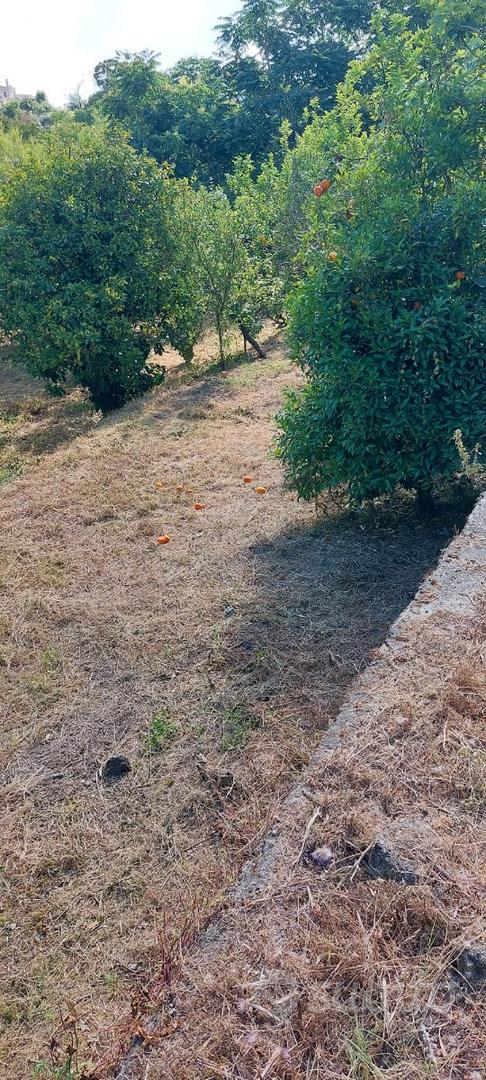 Terreno Ischia - Via Acquedotto - Vista 3