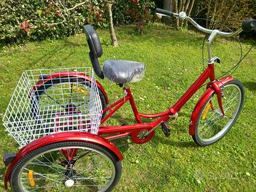 Triciclo adulti