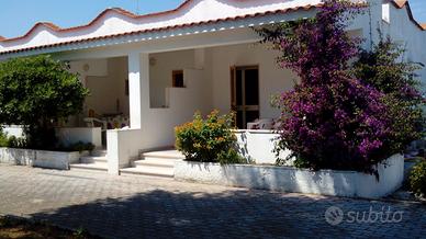 Vieste ultima disponibilità 1/15 Agosto