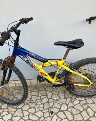 Bicicletta bambino ragazzo