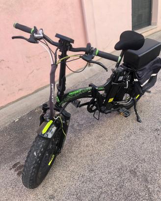 Bici elettrica armony 250w