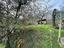 Immagine 19