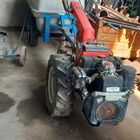Botte verderame