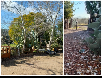 Terreno 3200MQ non edificabile Grosseto periferia