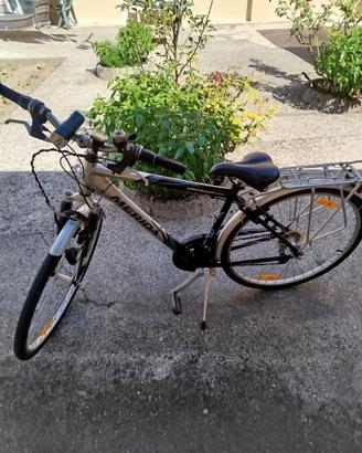 Bicicletta 