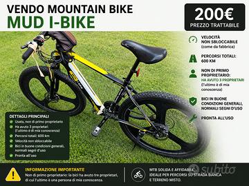 Bicicletta elettrica da sistemare
