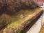 Immagine 20