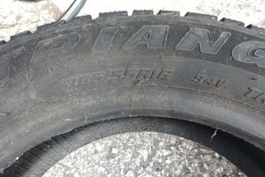 gomme triangle 205-55-16 snow lion mai usate