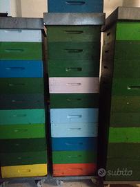 Melari dadant con telaini tirati 