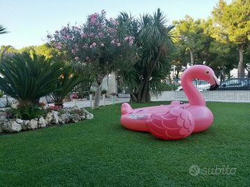 GROTTAMMARE 1° FILA MARE dal 5 Settembre