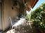 Immagine 25