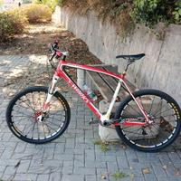 MTB carbonio