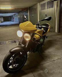 Triumph speed four