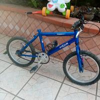 Bici Bambino