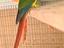 Immagine 3
