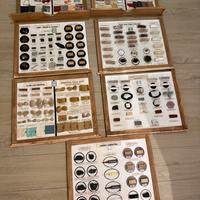 7 Tavole didattiche Paravia collezezione