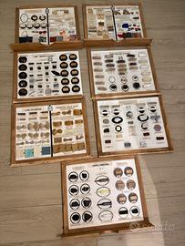 7 Tavole didattiche Paravia collezezione