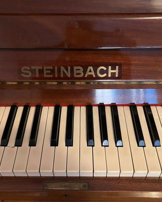 Si vede pianoforte Steinbach