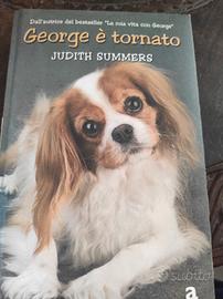 libro narrativa " George è tornato"