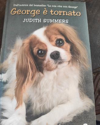 libro narrativa " George è tornato"