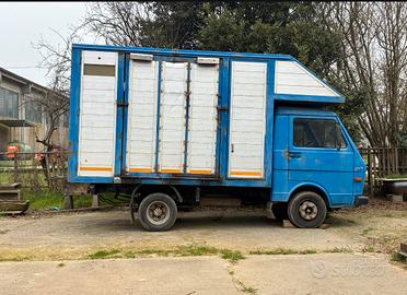 Van trasporto 2 cavalli patente B