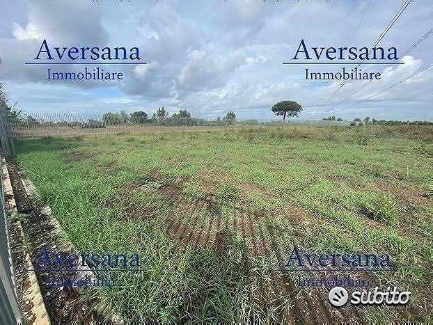 Terreno agricolo fronte strada recintato - Vista 4