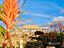 Immagine 26