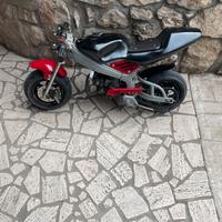 minimoto 49cc