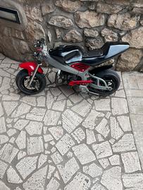 minimoto 49cc