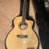 Chitarra acustica Washburn