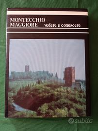 Montecchio Maggiore vedere e conoscere 