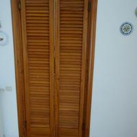 Porta saloon a ventola