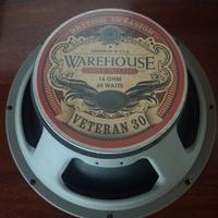 Altoparlante per chitarra Wirehouse USA