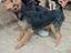Immagine 2