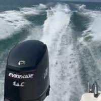 Motore EVINRUDE E75DPL