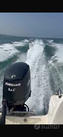 Motore EVINRUDE E75DPL