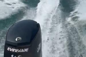 Motore EVINRUDE E75DPL
