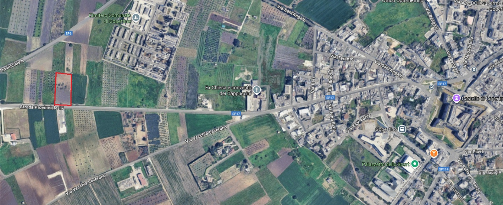 Vendita vigneto e frutteto - Vista 2