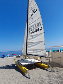 Catamarano modello Hobcat 16