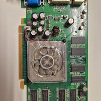 scheda video nvidia