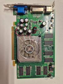 scheda video nvidia