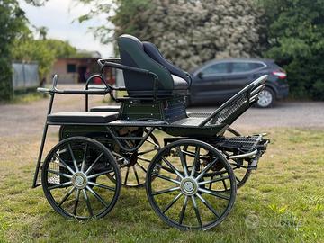 Carrozza Maratona 