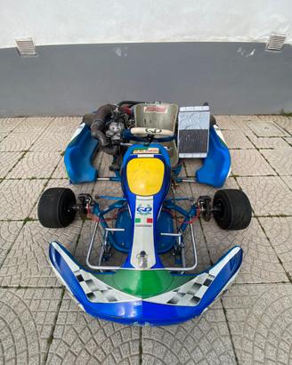 Go kart 250 cc