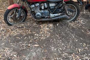 moto Suzuki