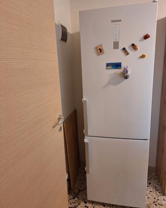 Frigo e congelatore marca OCEAN classe A