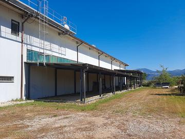 Capannone industriale