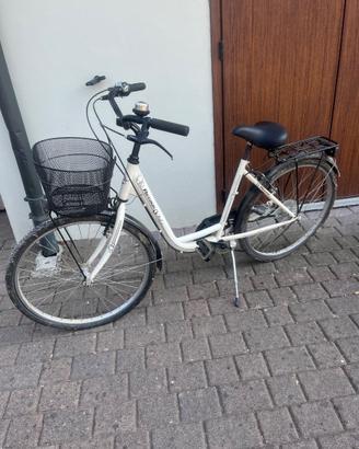 Bici da donna 26
