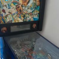 Flipper Stern e sta est